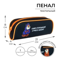 Пенал мягкий, 1 отделение, 80 х 210 х 40 мм, объёмный, Calligrata ПМО 21-20, "Тигр"