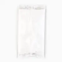 Гипс для творчества в пакете, 100 гр