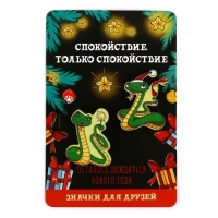 Значки новогодние &laquo;Новый год: две змейки&raquo;, набор, 2 шт