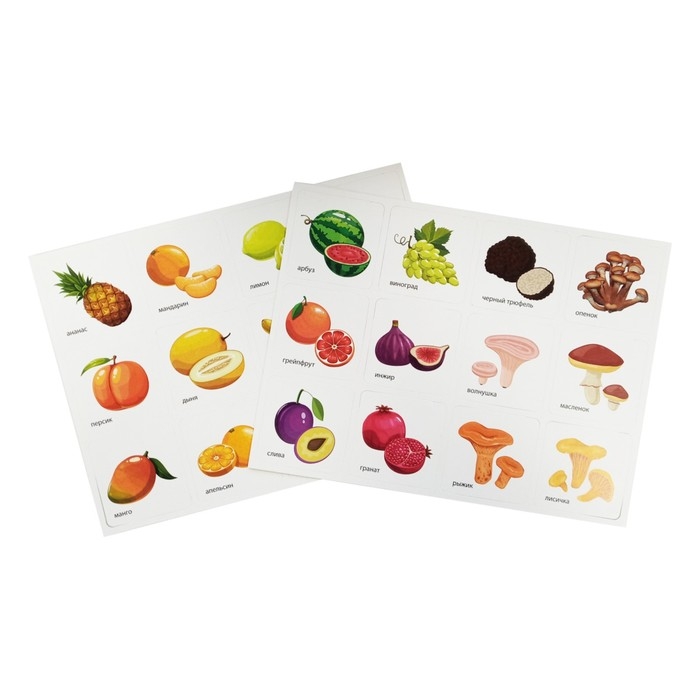 Настольная развивающая игра &laquo;Умный сортер &laquo;Фрукты, ягоды, овощи, грибы&raquo;