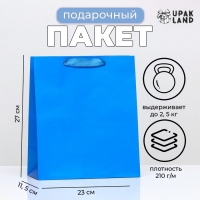 Пакет ламинированный &laquo;Синий&raquo;, 23 х 27 х 11,5 см