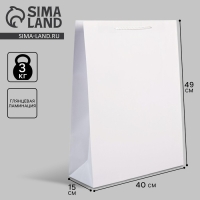 Пакет подарочный ламинированный, упаковка, &laquo;Белый&raquo;, 40 х 49 х 15 см