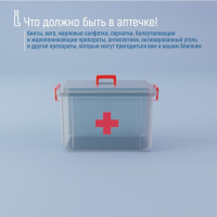 Аптечка, 24&times;17&times;13 см, прозрачный корпус