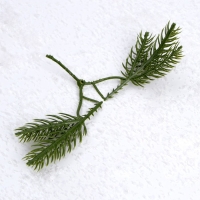 Декор &laquo;Веточка ели&raquo;, набор 10 шт., размер 1 шт. &mdash; 8 &times; 8 &times; 2 см