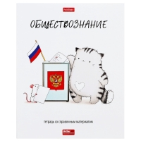 Комплект предметных тетрадей 48 листов, 12 предметов Hatber &laquo;Приключения кота Пирожка&raquo;, обложка мелованная бумага, с интерактивным справочником,...