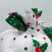 Мешочек подарочный органза &laquo;Рябина&raquo;, 10 х 12 см +/- 1.5 см