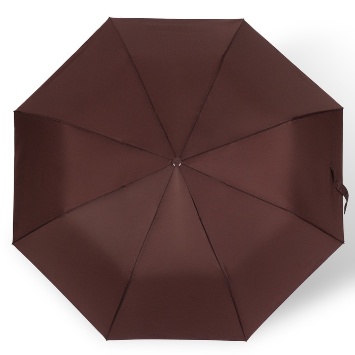 Зонт полуавтоматический &laquo;Розы&raquo;, с проявляющимся рисунком, эпонж, 3 сложения, 8 спиц, R = 48 см, цвет МИКС