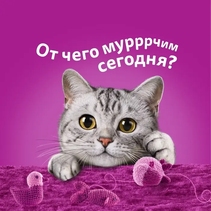 Влажный корм Whiskas для кошек, рагу индейка, 75г