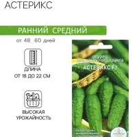 Семена Огурец "Астерикс", 10 шт