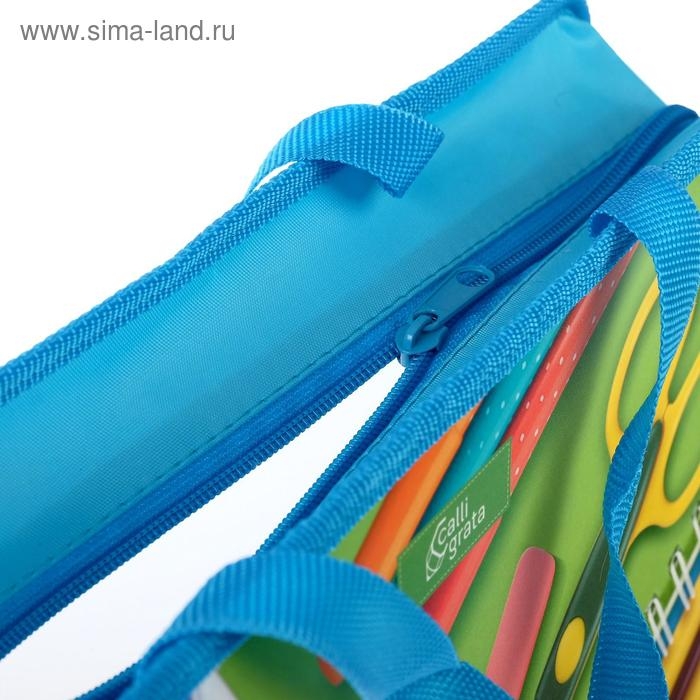 Папка с ручками А4, 330 х 260 х 75 мм, пластиковая, ручки-тесьма, Calligrata School