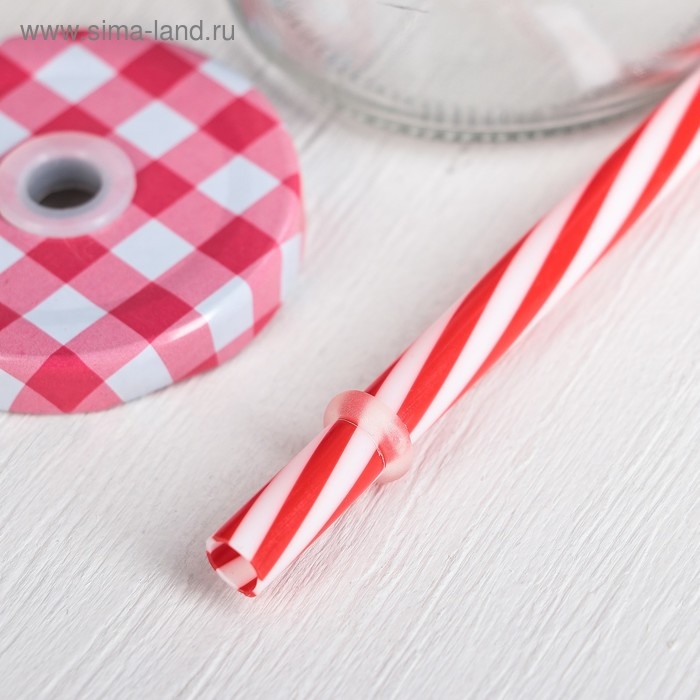 Бутыль стеклянная с крышкой и трубочкой &laquo;Лаконичность&raquo;, 300 мл, 6,5&times;15,5 см, цвет МИКС