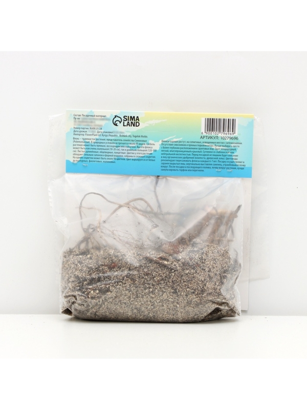 Флокс &laquo;Зенобия&raquo; корневище в пакете с торфогрунтом, р-р I, 2 шт.