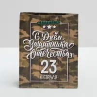 Пакет подарочный ламинированный, упаковка, &laquo;С 23 февраля&raquo;, S 12 х 15 х 5.5 см