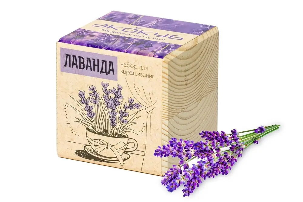 Набор для выращивания &laquo;Экокуб&raquo;, лаванда