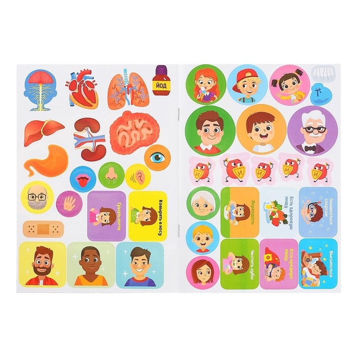 Наклейки набор &laquo;Тело человека&raquo;, 2 шт. по 16 стр.