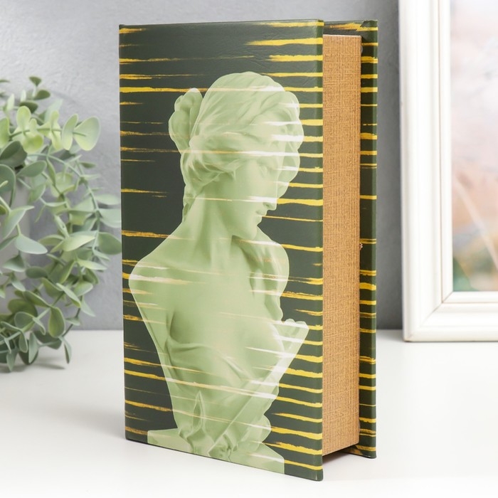 Сейф-книга дерево кожзам "Бюст девушки" 21х13х5 см