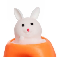 Мялка &laquo;Зайка в морковке&raquo;