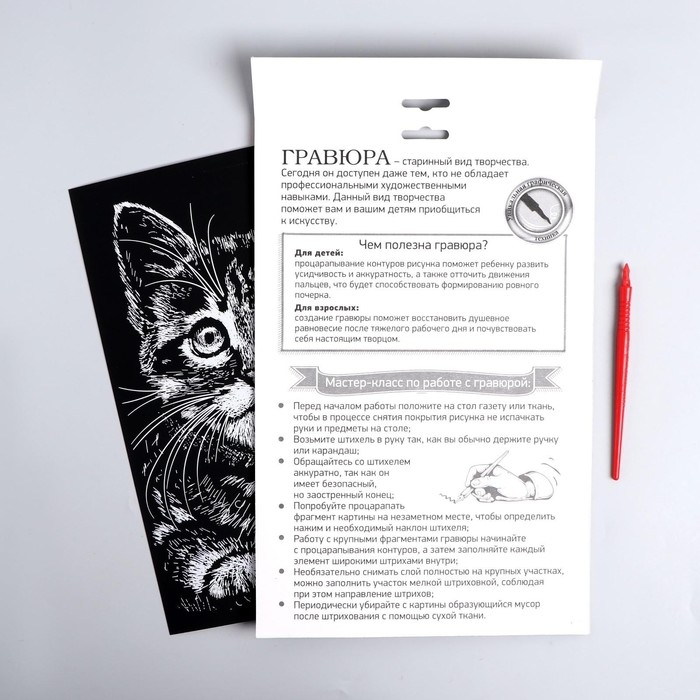 Гравюра &laquo;Котёнок&raquo; с металлическим эффектом &laquo;серебро&raquo; А4