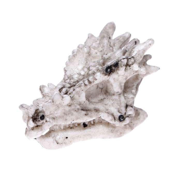 Игровой набор &laquo;Эпоха динозавров&raquo;, 2 артефакта, с эпоксидной смолой