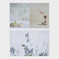 Фотофон двусторонний бумага 300 гр "Изящные растения" 57х87 см