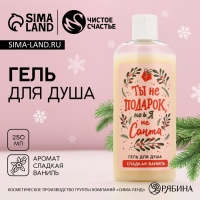 Гель для душа &laquo;Ты не подарок, но и я не Санта&raquo;, 250 мл, аромат сладкой ванили, Новый Год