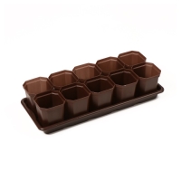 Набор для рассады: стаканы по 300 мл (10 шт.), поддон 41 &times; 17 см, цвет МИКС