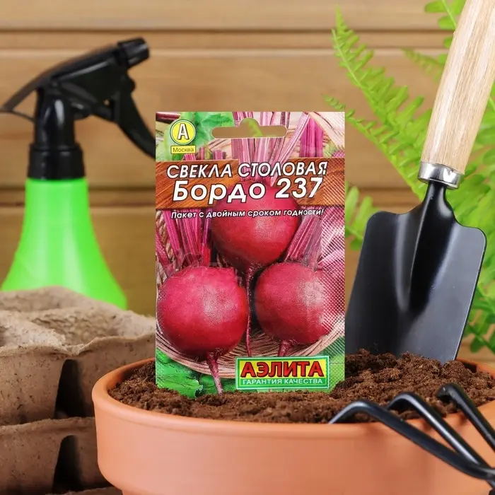Семена Свекла столовая "Бордо 237" "Лидер", 2 г   ,