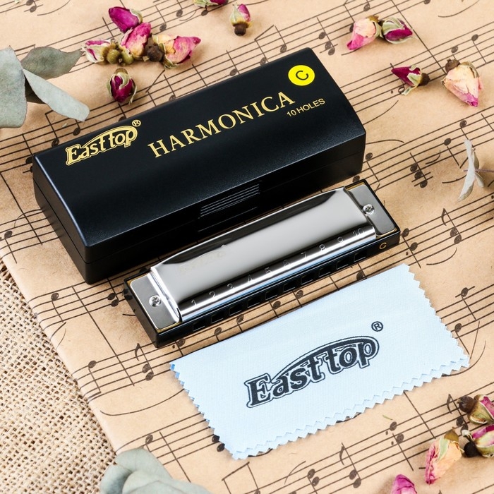 Губная гармошка Music Life T10-3 диатоническая, 10 отверстий, с футляром