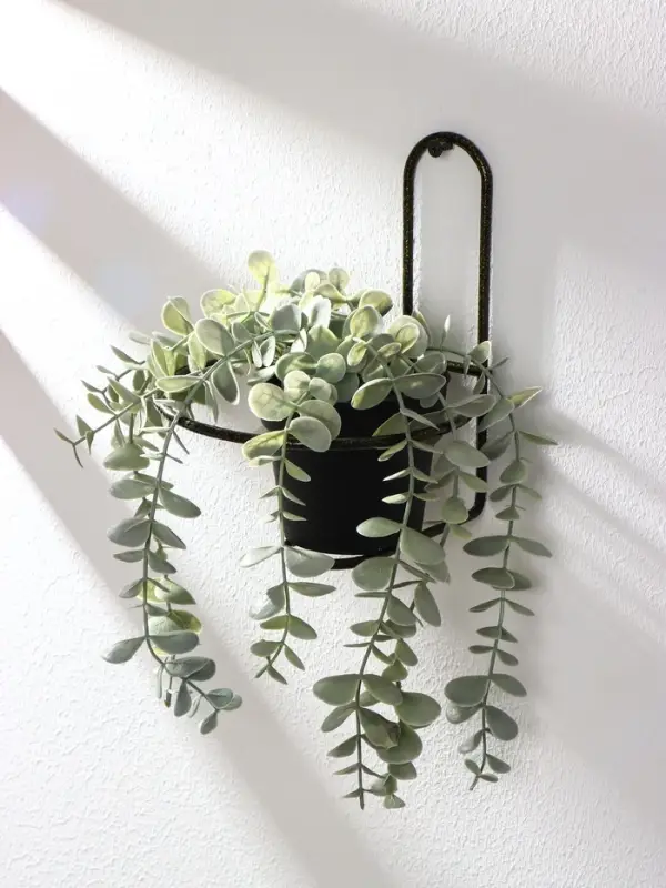 Подвес для кашпо настенный d=16 см, Золотой  "Одиночка"