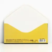 Конверт для денег &laquo;С Днём Рождения&raquo;, 16.5&times;8 см