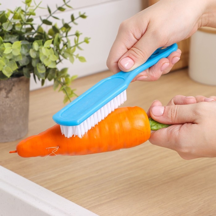 Щётка для овощей и фруктов с ручкой Доляна, 17&times;3,3&times;2 см, цвет МИКС