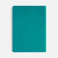 Ежедневник Flex Shall New, недатированный, бирюзовый