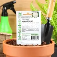 Семена Капуста цветная "Осенний гигант", ц/п, 0,1 г серия ХИТ х3