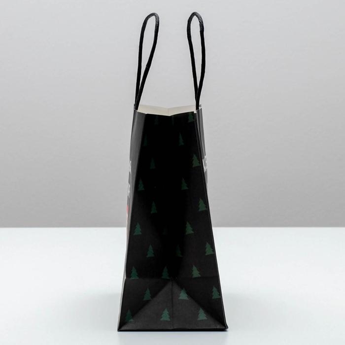 Пакет подарочный новогодний &laquo;А ты уже синяя&raquo;, 22 х 22 х 11 см, Новый год