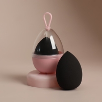 Спонж для макияжа &laquo;Капля&raquo;, 6 &times; 4 см, увеличивается при намокании, в футляре, цвет чёрный