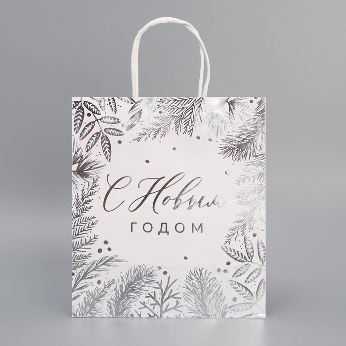 Пакет подарочный новогодний крафтовый &laquo;Серебро&raquo;, 22 х 25 х 12 см, Новый год