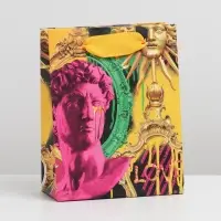 Пакет подарочный ламинированный, упаковка, &laquo;Арт фри&raquo;, S 12 х 15 х 5.5 см