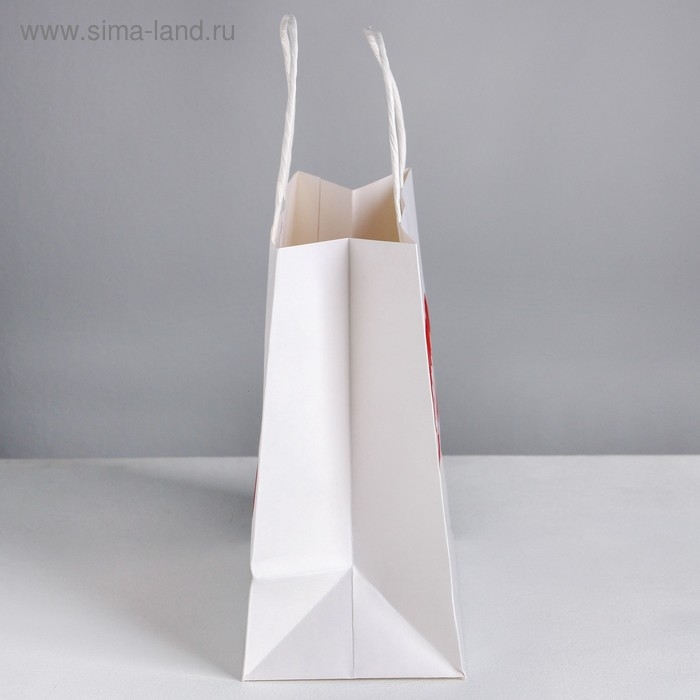 Пакет подарочный, упаковка, &laquo;Бесишь&raquo;, 22 х 22 х 11 см