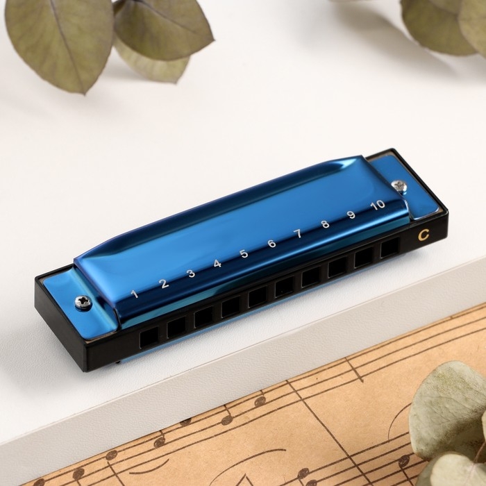 Губная гармошка Music Life T003 C диатоническая, 10 отверстий, с футляром, синяя