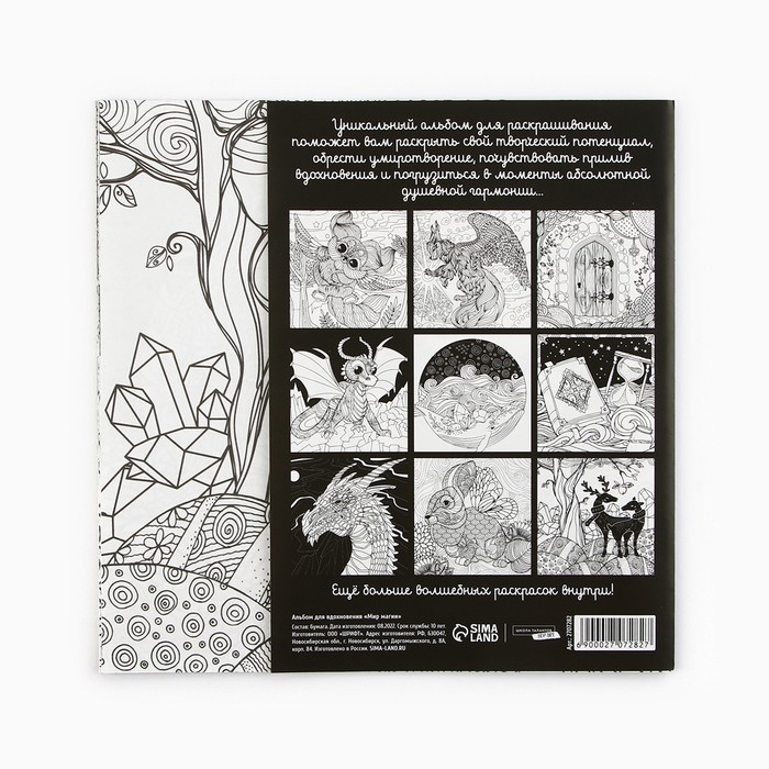Раскраска - антистресс, альбом &laquo;Мир магии&raquo;, 20 стр.