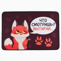 Коврик придверный &laquo;Что смотришь?&raquo;, 40 х 60 см