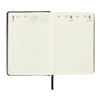 Ежедневник датированный 2024 A5 176 листов, deVENTE.Wild, твёрдая обложка из искусственной кожи, золотой срез, ляссе, кремовый блок 70 г/м2, чёрный