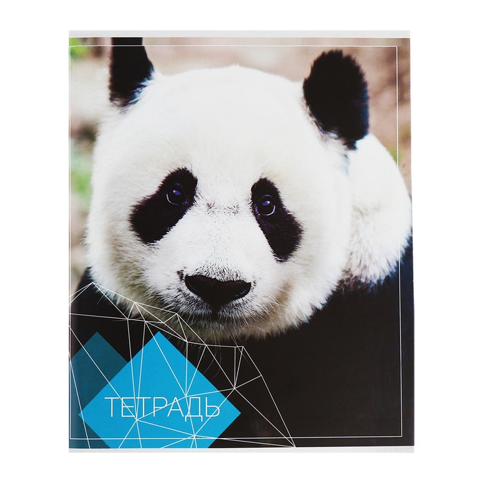 Комплект тетрадей из 4 штук, 96 листов в клетку Calligrata "Животные", обложка мелованный картон, блок №2, белизна 75% (серые листы)