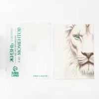 Пакет подарочный &laquo;Новогодняя сказка&raquo;, с ободком, 31 &times; 11 &times; 40 см