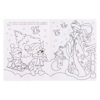 Раскраска &laquo;Принцесса Зима&raquo;, 16 стр.
