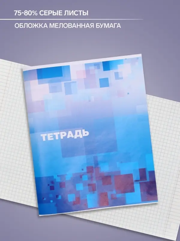 Тетрадь 48 листов в клетку Calligrata &laquo;Графика&raquo;, обложка мелованная бумага, серые листы, МИКС
