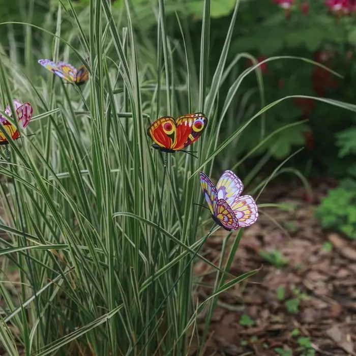 Штекер "Бабочка Дольче" 12&times;9см/30см, МИКС