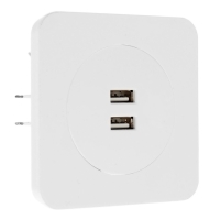 Розетка с 2 USB-A разъёмами, 2.1А, 5В, серия "Circular", 10 А, скрытая, белая