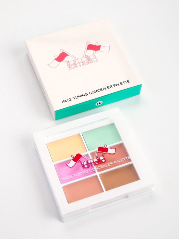 Палетка консилеров для лица, 6 цв, водостойкая