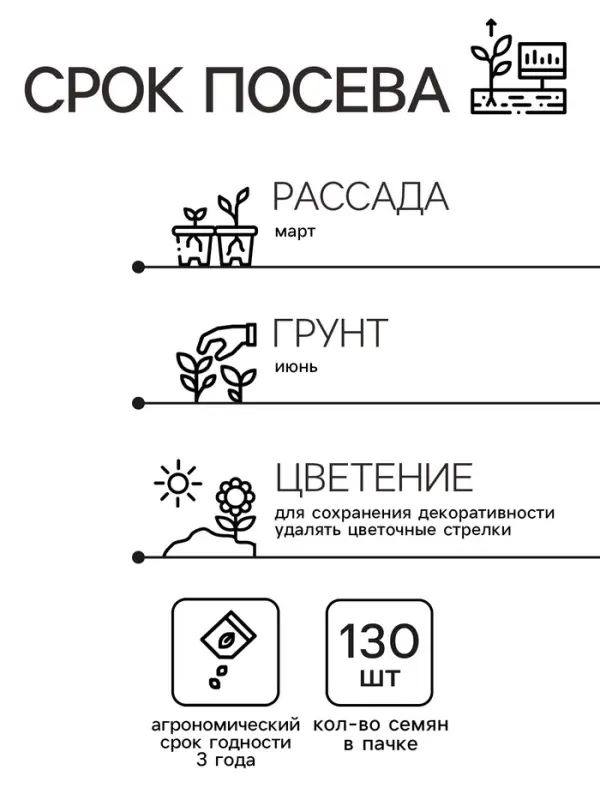 Семена комнатных цветов Колеус "Блюма Радуга", 130 шт.